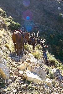 Lawrie leading the horses down the slope - 82k
