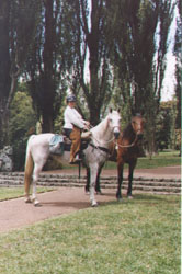 Cornwall Park, Auckland City