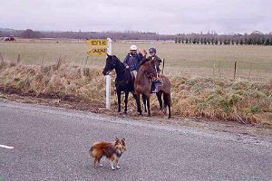 Waving goodbye to the Laplanche Ranch girls - 22k