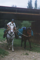 Entrance to Pauline's farm