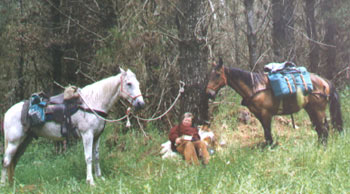 Resting the horses (and myself!)