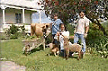 Jacqui and students on her farm