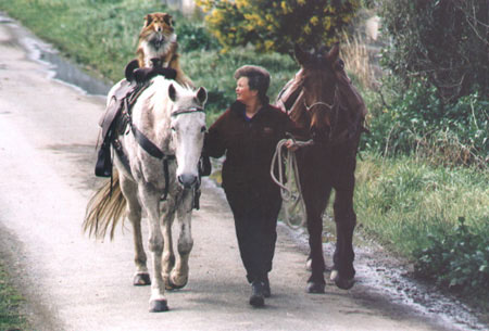 Leaving Houghton Bay - photo courtesy Wellington Post