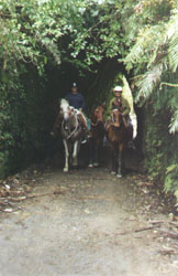Riding through the old tunnel