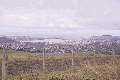 View of Dunedin